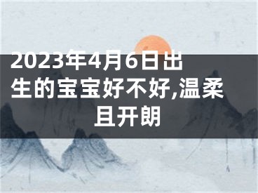 2023年4月6日出生的宝宝好不好,温柔且开朗