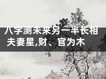 八字测未来另一半长相 夫妻星,财、官为木