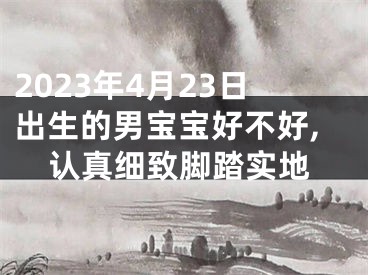 2023年4月23日出生的男宝宝好不好,认真细致脚踏实地