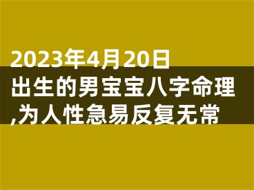 2023年4月20日出生的男宝宝八字命理,为人性急易反复无常