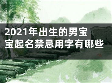 2021年出生的男宝宝起名禁忌用字有哪些