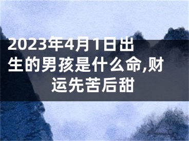 2023年4月1日出生的男孩是什么命,财运先苦后甜