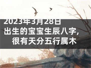 2023年3月28日出生的宝宝生辰八字,很有天分五行属木