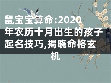 鼠宝宝算命:2020年农历十月出生的孩子起名技巧,揭晓命格玄机