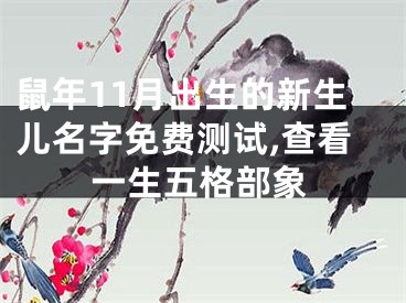 鼠年11月出生的新生儿名字免费测试,查看一生五格部象