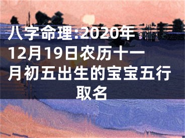 八字命理:2020年12月19日农历十一月初五出生的宝宝五行取名