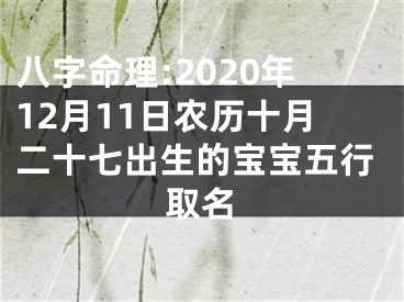 八字命理:2020年12月11日农历十月二十七出生的宝宝五行取名