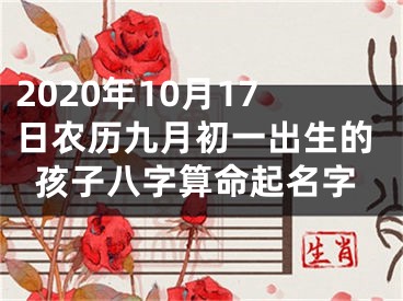 2020年10月17日农历九月初一出生的孩子八字算命起名字