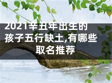 2021辛丑年出生的孩子五行缺土,有哪些取名推荐