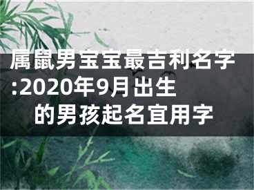 属鼠男宝宝最吉利名字:2020年9月出生的男孩起名宜用字