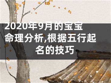 2020年9月的宝宝命理分析,根据五行起名的技巧