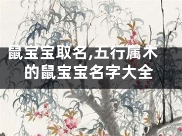 鼠宝宝取名,五行属木的鼠宝宝名字大全