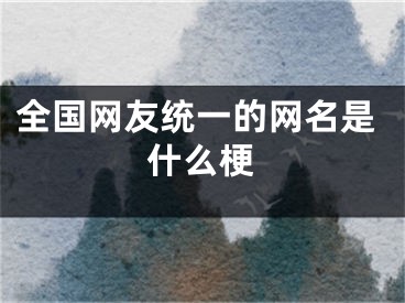 全国网友统一的网名是什么梗