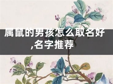 属鼠的男孩怎么取名好,名字推荐