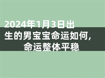 2024年1月3日出生的男宝宝命运如何,命运整体平稳