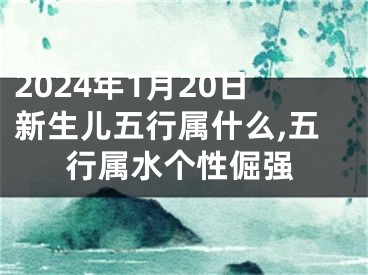 2024年1月20日新生儿五行属什么,五行属水个性倔强