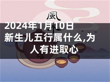 2024年1月10日新生儿五行属什么,为人有进取心