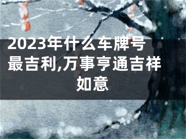 2023年什么车牌号最吉利,万事亨通吉祥如意