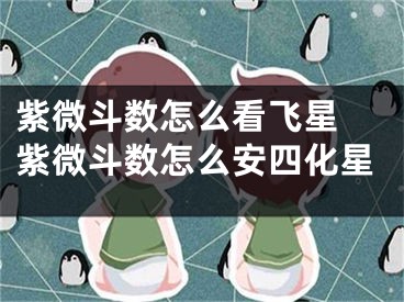 紫微斗数怎么看飞星 紫微斗数怎么安四化星