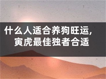 什么人适合养狗旺运,寅虎最佳独者合适