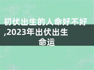 初伏出生的人命好不好,2023年出伏出生命运