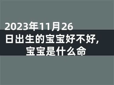 2023年11月26日出生的宝宝好不好,宝宝是什么命