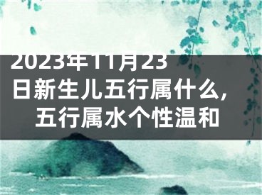 2023年11月23日新生儿五行属什么,五行属水个性温和