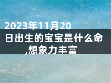 2023年11月20日出生的宝宝是什么命,想象力丰富