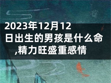 2023年12月12日出生的男孩是什么命,精力旺盛重感情