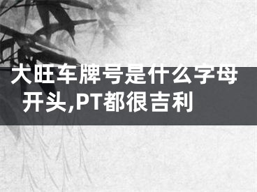 大旺车牌号是什么字母开头,PT都很吉利