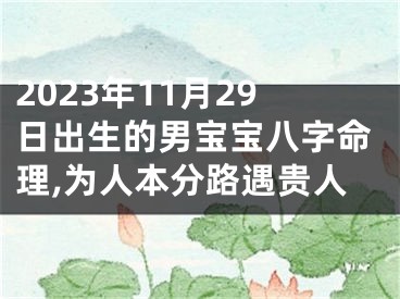 2023年11月29日出生的男宝宝八字命理,为人本分路遇贵人