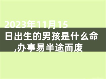 2023年11月15日出生的男孩是什么命,办事易半途而废