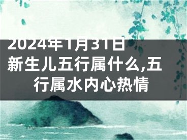 2024年1月31日新生儿五行属什么,五行属水内心热情