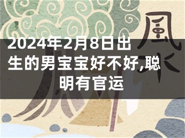 2024年2月8日出生的男宝宝好不好,聪明有官运