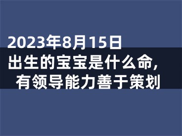 2023年8月15日出生的宝宝是什么命,有领导能力善于策划