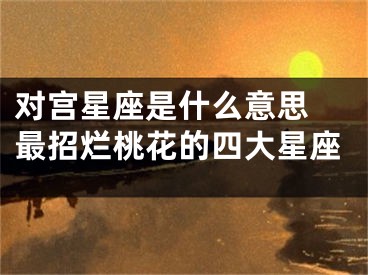 对宫星座是什么意思 最招烂桃花的四大星座