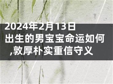 2024年2月13日出生的男宝宝命运如何,敦厚朴实重信守义