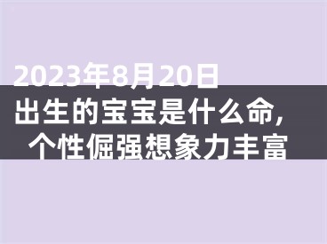 2023年8月20日出生的宝宝是什么命,个性倔强想象力丰富