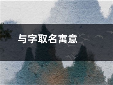  与字取名寓意 