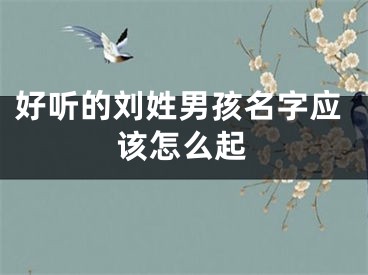 好听的刘姓男孩名字应该怎么起