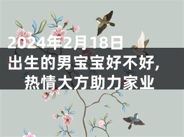 2024年2月18日出生的男宝宝好不好,热情大方助力家业