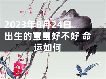 2023年8月24日出生的宝宝好不好 命运如何 