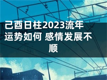 己酉日柱2023流年运势如何 感情发展不顺