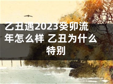 乙丑遇2023癸卯流年怎么样 乙丑为什么特别