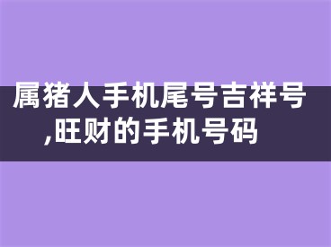 属猪人手机尾号吉祥号,旺财的手机号码