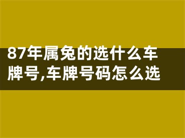 87年属兔的选什么车牌号,车牌号码怎么选