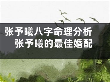 张予曦八字命理分析 张予曦的最佳婚配