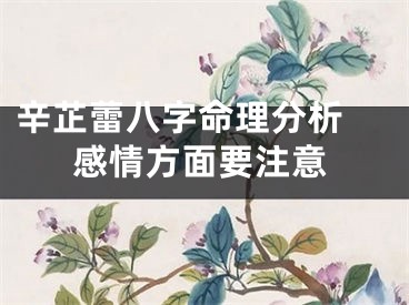 辛芷蕾八字命理分析 感情方面要注意