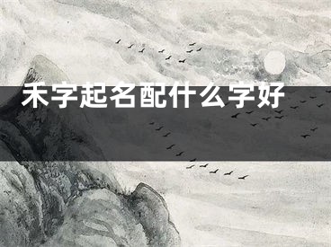  禾字起名配什么字好 