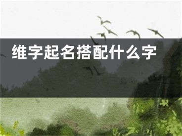  维字起名搭配什么字 